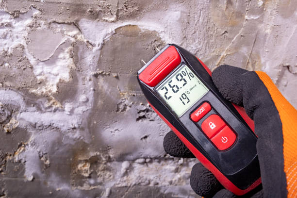 Best Mold Testing  in Brillion, WI